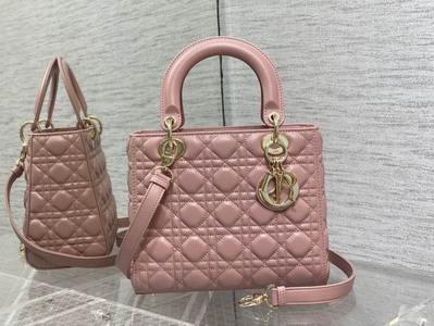 DIOR Handbags 1006